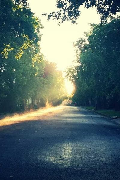 Crayfish story card background