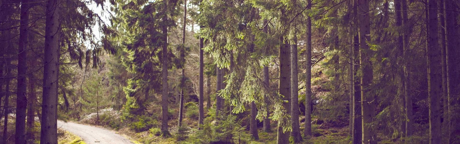 Lagos lagoon fishing activity with fish traders preparing deliveries