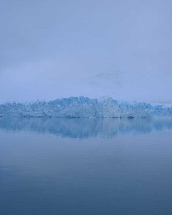 Photo of Lagos Green Farms, a Fruits & Vegetables trader at Mile 12