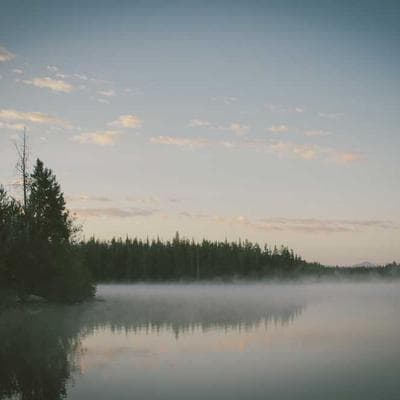 Groundnut Oil spice product