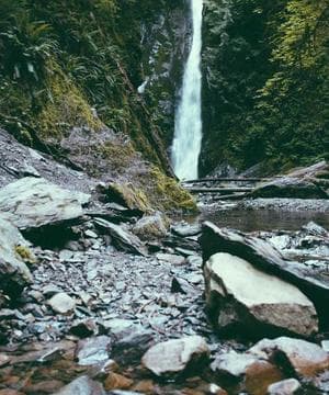 Photo of a Mile 12 trader