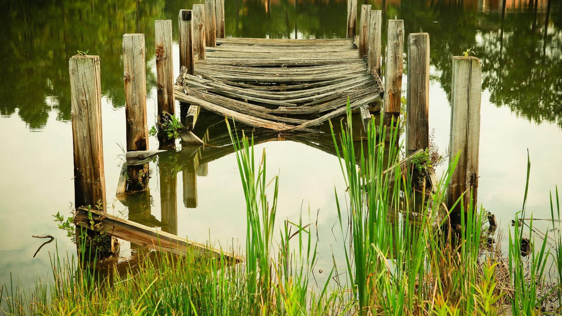 Butchers at dawn in Mile 12 meat and poultry section