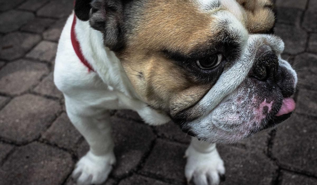 Cold Room Expansion in Zone B Doubles Fish Storage Capacity