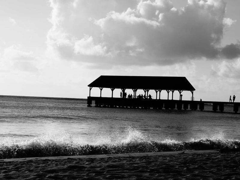 Red Palm Oil spice product