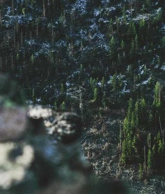 Photo of a Mile 12 trader