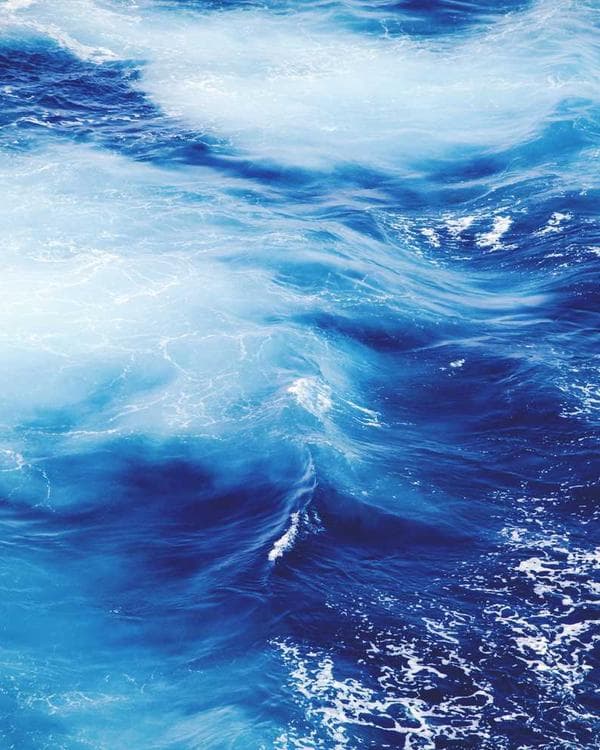 Photo of Crayfish & Co., a Spices & Condiments trader at Mile 12