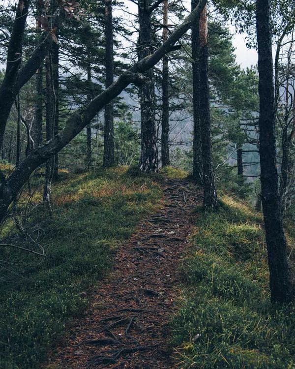 Photo of Abeokuta Pepper Market, a Spices & Condiments trader at Mile 12