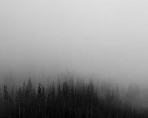 Palm oil drums in Mile 12 spice and condiment section