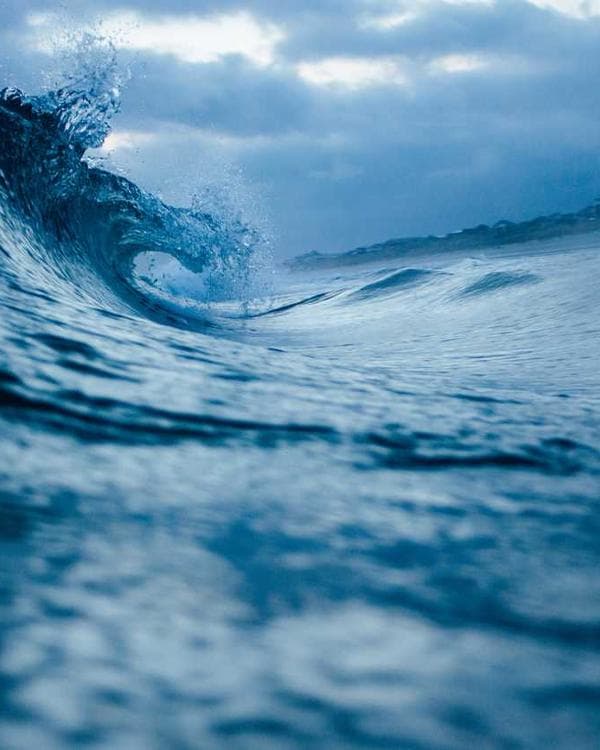 Photo of Abuja Stockfish Traders, a Smoked & Dried Fish trader at Mile 12